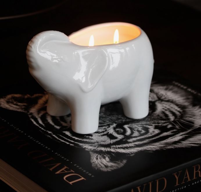 Elephant 3-Wick Collection (Gold/Silver/Black/White)
